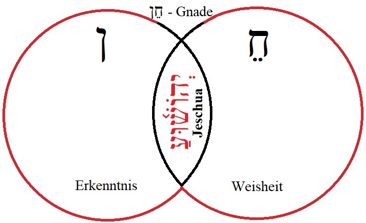 Ichthys Fisch Kreise Jeschua Gnade